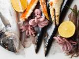 Dossiers: Les stars de la mer pour vos fêtes : 5 choix incontournables à la poissonnerie!
